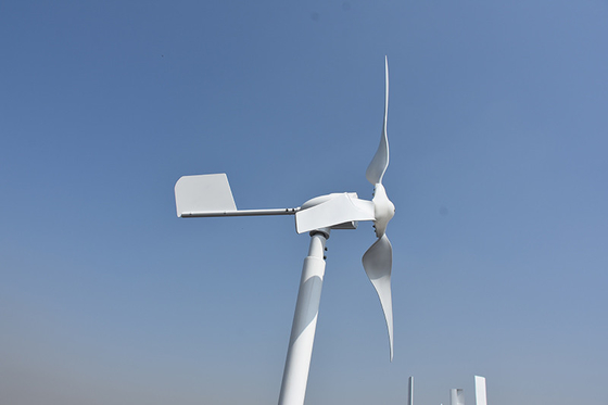 3상 작은 수평 바람 터빈 24 볼트 48 볼트 800W 수평 바람 공장
