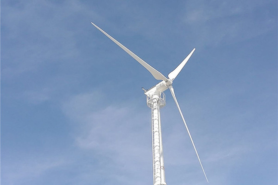 CE 오프 그리드 풍력 발전 시스템 50KW IP54 풍력 타빈 발전기 출력 전압 380V